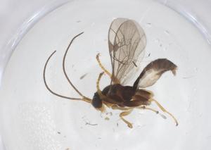  ( - CBG-B12760-C04)  @11 [ ] CreativeCommons - Attribution Share - Alike (2025) Centre for Biodiversity Genomics Centre for Biodiversity Genomics