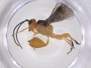  ( - CBG-B13184-F04)  @11 [ ] CreativeCommons - Attribution Share - Alike (2025) Centre for Biodiversity Genomics Centre for Biodiversity Genomics