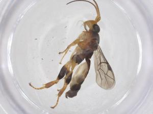  ( - CBG-B13185-E10)  @11 [ ] CreativeCommons - Attribution Share - Alike (2025) Centre for Biodiversity Genomics Centre for Biodiversity Genomics