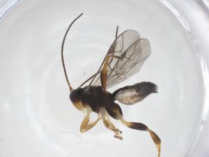  ( - CBG-B13252-E12)  @11 [ ] CreativeCommons - Attribution Share - Alike (2025) Centre for Biodiversity Genomics Centre for Biodiversity Genomics