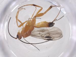  ( - CBG-B13594-G05)  @11 [ ] CreativeCommons - Attribution Share - Alike (2025) Centre for Biodiversity Genomics Centre for Biodiversity Genomics