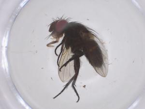  ( - CBG-B13609-B08)  @11 [ ] CreativeCommons - Attribution Share - Alike (2025) Centre for Biodiversity Genomics Centre for Biodiversity Genomics