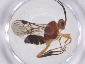  ( - CBG-B13755-G03)  @11 [ ] CreativeCommons - Attribution Share - Alike (2025) Centre for Biodiversity Genomics Centre for Biodiversity Genomics