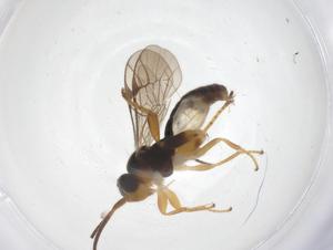  ( - CBG-B13958-A12)  @11 [ ] CreativeCommons - Attribution Share - Alike (2025) Centre for Biodiversity Genomics Centre for Biodiversity Genomics