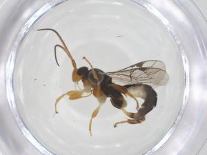  ( - CBG-B14050-F04)  @11 [ ] CreativeCommons - Attribution Share - Alike (2025) Centre for Biodiversity Genomics Centre for Biodiversity Genomics