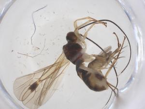  ( - CBG-B14075-E04)  @11 [ ] CreativeCommons - Attribution Share - Alike (2025) Centre for Biodiversity Genomics Centre for Biodiversity Genomics