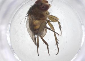  ( - CBG-B14082-D01)  @11 [ ] CreativeCommons - Attribution Share - Alike (2025) Centre for Biodiversity Genomics Centre for Biodiversity Genomics