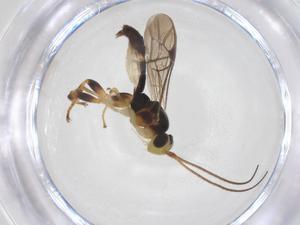  ( - CBG-B14082-F04)  @11 [ ] CreativeCommons - Attribution Share - Alike (2025) Centre for Biodiversity Genomics Centre for Biodiversity Genomics