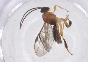  ( - CBG-B14470-D11)  @11 [ ] CreativeCommons - Attribution Share - Alike (2025) Centre for Biodiversity Genomics Centre for Biodiversity Genomics