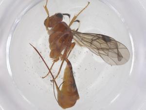  ( - CBG-B14971-E03)  @11 [ ] CreativeCommons - Attribution Share - Alike (2025) Centre for Biodiversity Genomics Centre for Biodiversity Genomics