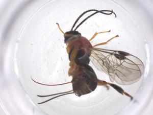  ( - CBG-B14973-D01)  @11 [ ] CreativeCommons - Attribution Share - Alike (2025) Centre for Biodiversity Genomics Centre for Biodiversity Genomics