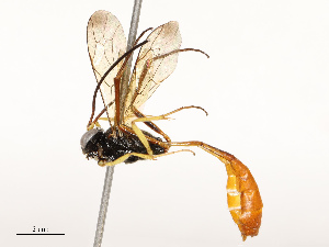  ( - CBG-B13891-G02)  @11 [ ] CreativeCommons - Attribution Share - Alike (2025) CBG Photography Group Centre for Biodiversity Genomics