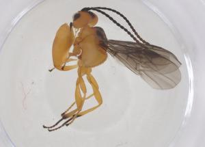  ( - CBG-B15028-B09)  @11 [ ] CreativeCommons - Attribution Share - Alike (2025) Centre for Biodiversity Genomics Centre for Biodiversity Genomics