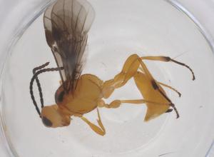  ( - CBG-B15028-D07)  @11 [ ] CreativeCommons - Attribution Share - Alike (2025) Centre for Biodiversity Genomics Centre for Biodiversity Genomics