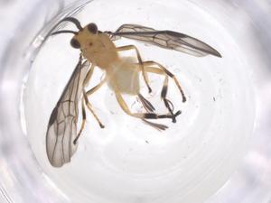  ( - CBG-B15066-G01)  @11 [ ] CreativeCommons - Attribution Share - Alike (2025) Centre for Biodiversity Genomics Centre for Biodiversity Genomics