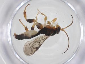  ( - CBG-B15128-F06)  @11 [ ] CreativeCommons - Attribution Share - Alike (2025) Centre for Biodiversity Genomics Centre for Biodiversity Genomics