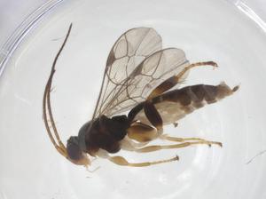  ( - CBG-B15148-H05)  @11 [ ] CreativeCommons - Attribution Share - Alike (2025) Centre for Biodiversity Genomics Centre for Biodiversity Genomics