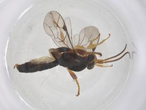  ( - CBG-B15157-A05)  @11 [ ] CreativeCommons - Attribution Share - Alike (2025) Centre for Biodiversity Genomics Centre for Biodiversity Genomics