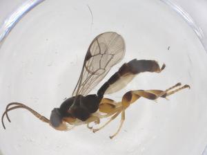  ( - CBG-B15375-G06)  @11 [ ] CreativeCommons - Attribution Share - Alike (2025) Centre for Biodiversity Genomics Centre for Biodiversity Genomics