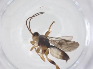  ( - CBG-B15408-C09)  @11 [ ] CreativeCommons - Attribution Share - Alike (2025) Centre for Biodiversity Genomics Centre for Biodiversity Genomics