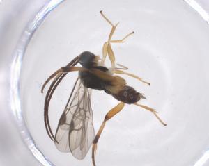  ( - CBG-B15409-F05)  @11 [ ] CreativeCommons - Attribution Share - Alike (2025) Centre for Biodiversity Genomics Centre for Biodiversity Genomics