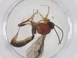  ( - CBG-B13169-C08)  @11 [ ] CreativeCommons - Attribution Share - Alike (2025) Centre for Biodiversity Genomics Centre for Biodiversity Genomics