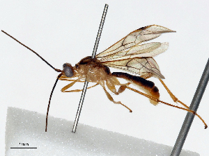  ( - CBG-B15171-E12)  @11 [ ] CreativeCommons - Attribution Share - Alike (2025) CBG Photography Group Centre for Biodiversity Genomics