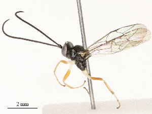 ( - CBG-B17179-H07)  @11 [ ] CreativeCommons - Attribution Share - Alike (2025) CBG Photography Group Centre for Biodiversity Genomics