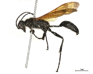  ( - CBG-B14789-F03)  @11 [ ] CreativeCommons - Attribution Share - Alike (2025) CBG Photography Group Centre for Biodiversity Genomics