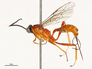  ( - CBG-B14791-E07)  @11 [ ] CreativeCommons - Attribution Share - Alike (2025) CBG Photography Group Centre for Biodiversity Genomics