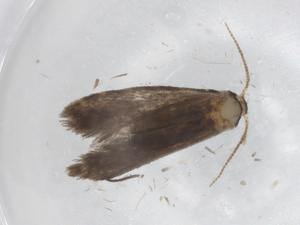  ( - BIOUG86904-B06)  @11 [ ] CreativeCommons - Attribution (2022) Centre for Biodiversity Genomics Centre for Biodiversity Genomics