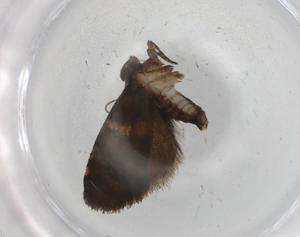  ( - BIOUG91103-D02)  @11 [ ] CreativeCommons - Attribution (2022) Centre for Biodiversity Genomics Centre for Biodiversity Genomics