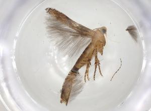  ( - CBG-A03746-E01)  @11 [ ] CreativeCommons - Attribution (2023) Centre for Biodiversity Genomics Centre for Biodiversity Genomics