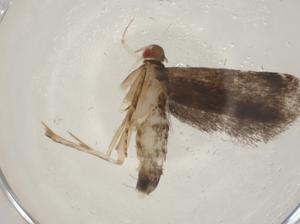  ( - CBG-A04893-C06)  @11 [ ] CreativeCommons - Attribution (2023) Centre for Biodiversity Genomics Centre for Biodiversity Genomics