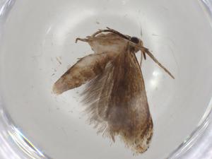  ( - CBG-A05782-E06)  @11 [ ] CreativeCommons - Attribution (2023) Centre for Biodiversity Genomics Centre for Biodiversity Genomics