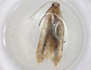  ( - CBG-A04986-A07)  @11 [ ] CreativeCommons - Attribution (2023) Centre for Biodiversity Genomics Centre for Biodiversity Genomics