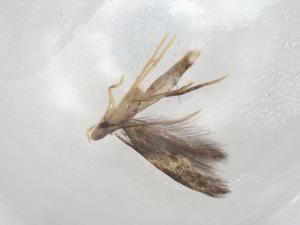  ( - CBG-A04986-B11)  @11 [ ] CreativeCommons - Attribution (2023) Centre for Biodiversity Genomics Centre for Biodiversity Genomics