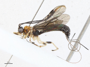  ( - CBG-A05400-A03)  @11 [ ] CreativeCommons - Attribution (2023) CBG Photography Group Centre for Biodiversity Genomics