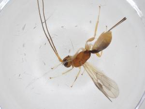  ( - CBG-A10113-E04)  @11 [ ] CreativeCommons - Attribution Share - Alike (2023) Centre for Biodiversity Genomics Centre for Biodiversity Genomics