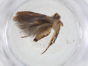  ( - CBG-A10323-E07)  @11 [ ] CreativeCommons - Attribution Share - Alike (2023) Centre for Biodiversity Genomics Centre for Biodiversity Genomics