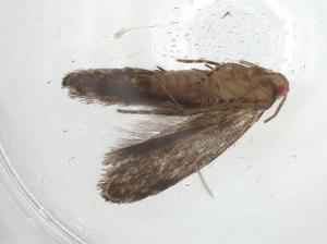  ( - CBG-A11016-H11)  @11 [ ] CreativeCommons - Attribution Share - Alike (2023) Centre for Biodiversity Genomics Centre for Biodiversity Genomics