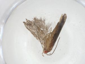  ( - CBG-A11022-D02)  @11 [ ] CreativeCommons - Attribution Share - Alike (2023) Centre for Biodiversity Genomics Centre for Biodiversity Genomics