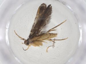  ( - CBG-A09230-D10)  @11 [ ] CreativeCommons - Attribution Share - Alike (2023) Centre for Biodiversity Genomics Centre for Biodiversity Genomics