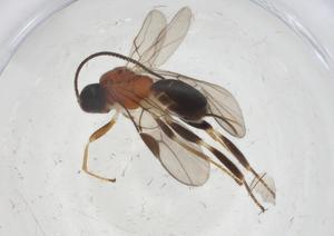  ( - CBG-A12318-B09)  @11 [ ] CreativeCommons - Attribution Share - Alike (2023) Centre for Biodiversity Genomics Centre for Biodiversity Genomics