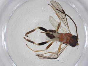  ( - CBG-A12319-C03)  @11 [ ] CreativeCommons - Attribution Share - Alike (2023) Centre for Biodiversity Genomics Centre for Biodiversity Genomics