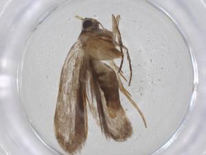  ( - CBG-A13448-D07)  @11 [ ] CreativeCommons - Attribution Share - Alike (2023) Centre for Biodiversity Genomics Centre for Biodiversity Genomics