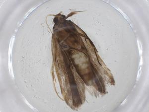  ( - CBG-A13448-F03)  @11 [ ] CreativeCommons - Attribution Share - Alike (2023) Centre for Biodiversity Genomics Centre for Biodiversity Genomics