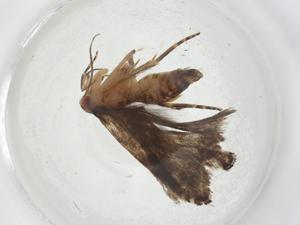  ( - CBG-A14294-A10)  @11 [ ] CreativeCommons - Attribution Share - Alike (2023) Centre for Biodiversity Genomics Centre for Biodiversity Genomics