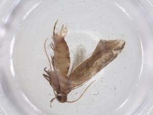  ( - CBG-A14398-C10)  @11 [ ] CreativeCommons - Attribution Share - Alike (2023) Centre for Biodiversity Genomics Centre for Biodiversity Genomics