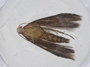  ( - CBG-A14421-C08)  @11 [ ] CreativeCommons - Attribution Share - Alike (2023) Centre for Biodiversity Genomics Centre for Biodiversity Genomics